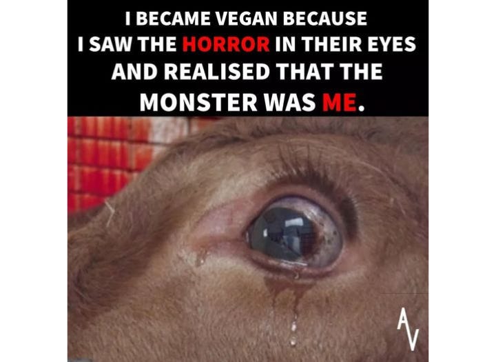 Their eyes tell the truth—fear, pain, betrayal. The moment we recognize our role in their suffering is the moment we change. Compassion isn’t an option; it’s a responsibility. Choose kindness. Choose vegan. 🌱💔 Their eyes tell the truth—fear, pain, betrayal. The moment we recognize our role in their suffering is the moment we change. Compassion isn’t an option; it’s a responsibility. Choose kindness. Choose vegan. 🌱💔