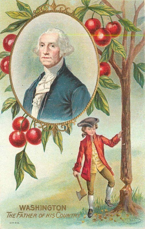 C1910 George Washington Patriotic Cherry Tree artist impression Postcard  22-7551 | eBay
