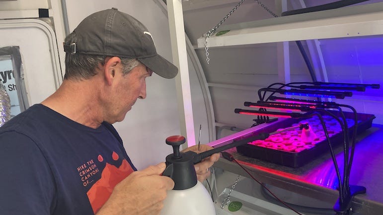 plant treatment spirulina algae outer space Miller