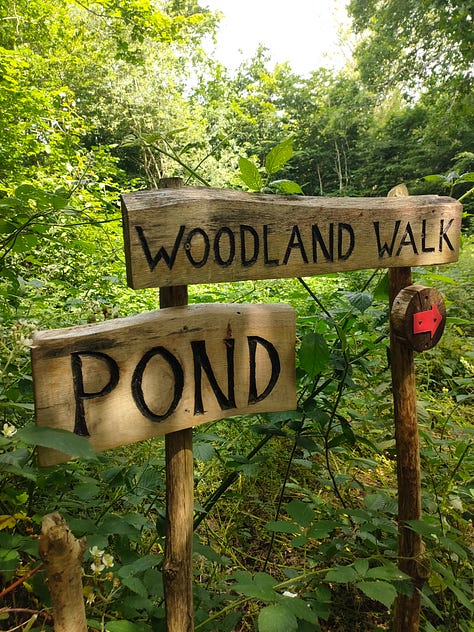 A woodland firepit circle, a view of the ocean from the clifftop with wildflowers in the foreground, a path in the woods, a wooden sign stating 'woodland path' and 'pond', a view of the sunset over a lake surrounded by grassland, a handbuilt hops hut