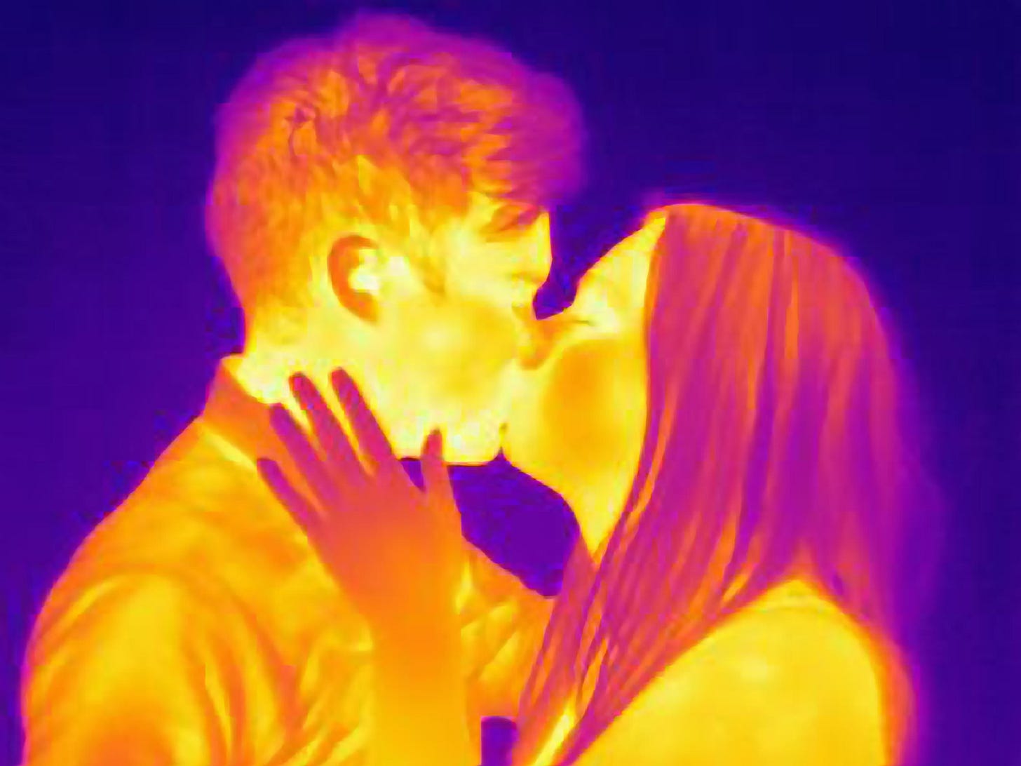 The Age of Hard and Soft: Photographer&amp;#39;s Eye, Joseph Giacomin and  Thermography - Image Source