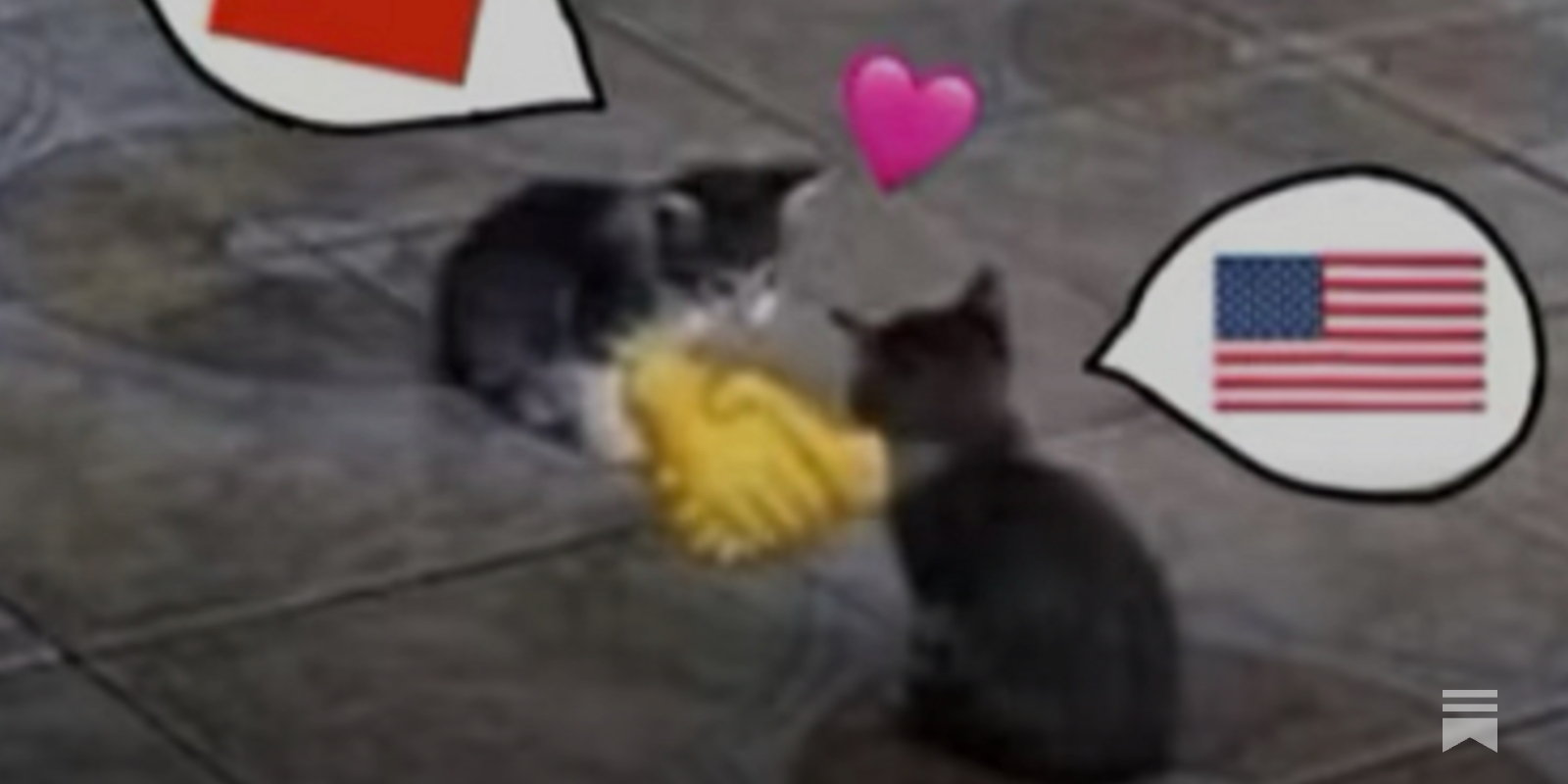 I am your Chinese spy. Show me your cat. - by Yuxuan JIA