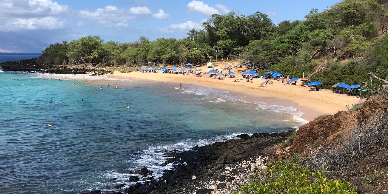 Little Beach needs friends