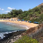 Little Beach needs friends