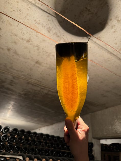 Champagne Bereche visit