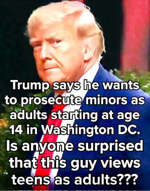 May be an image of 1 person and text that says 'Trump says he wants to prosecute minors as adults starting at age 14 in Washington DC. Is anyone surprised that this Aиy views teens as adults???'
