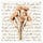 A Homemaker's Manifesto 
