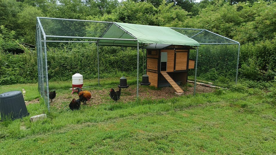 Image of chicken coop and cage