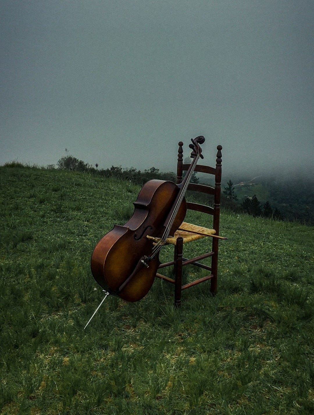 brown and black string instrument