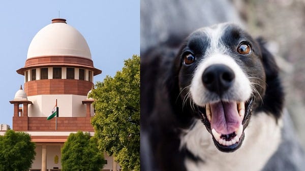 After stray dog relocation order in Delhi-NCR, Supreme Court cracks down on  leftover food disposal in court premises | Today News