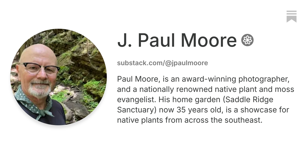 J. Paul Moore | Substack