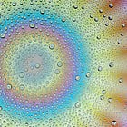 The Personal Program