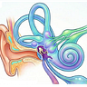 Brian Werner, Physical Therapist - Dizziness Expert