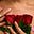 xx lover's avatar
