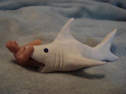 Shark attack Shark attack
