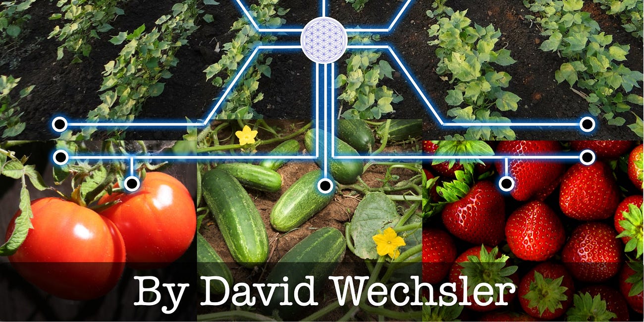 The Galaxy Garden - Part 1