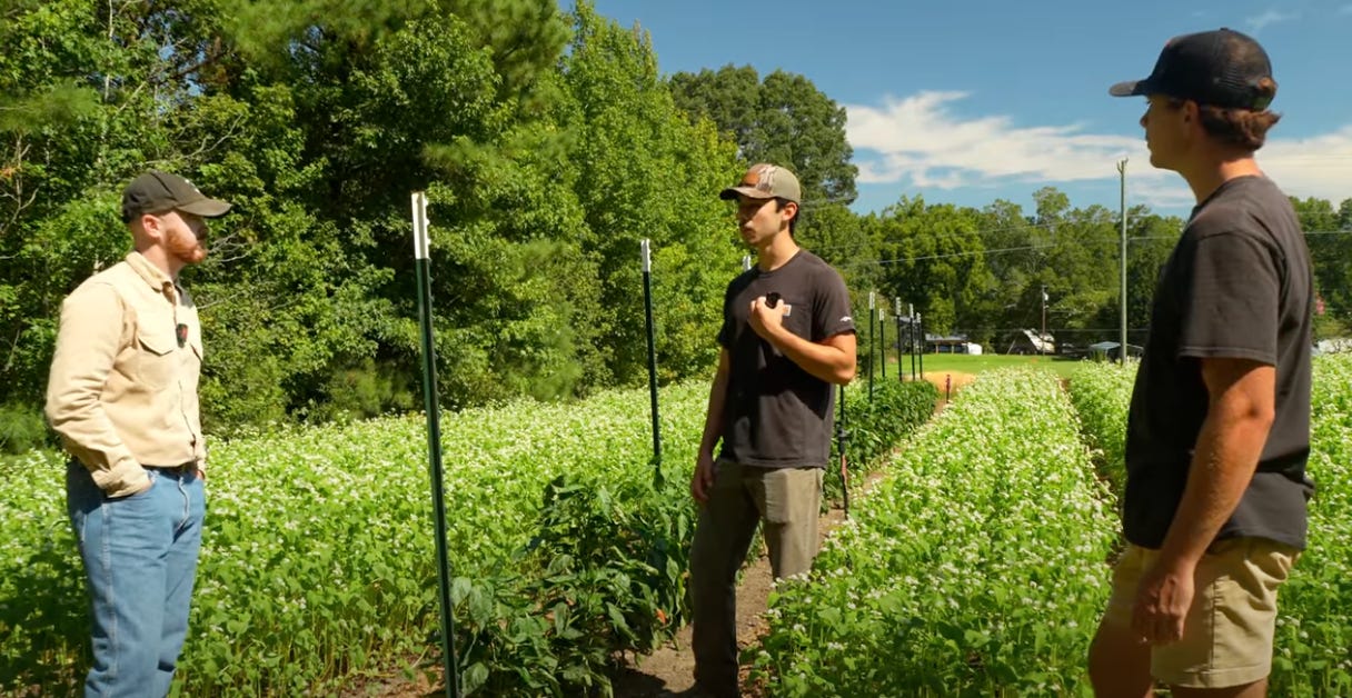 Three men stand between rows of green crops at Cable Family Farm in North Carolina, talking under a bright blue sky with trees and cover crops in the background.