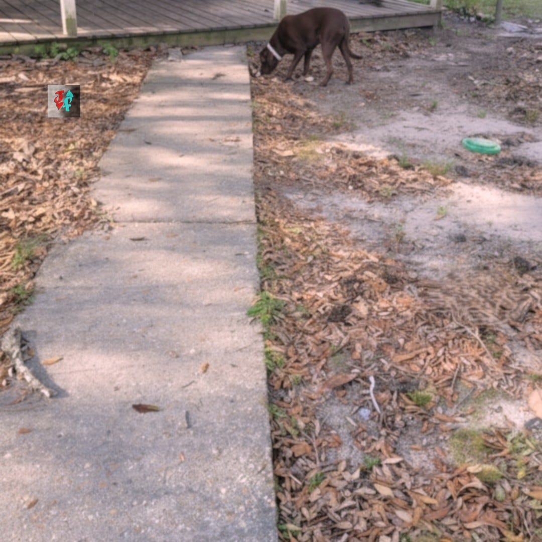 Image by Jacked Faction