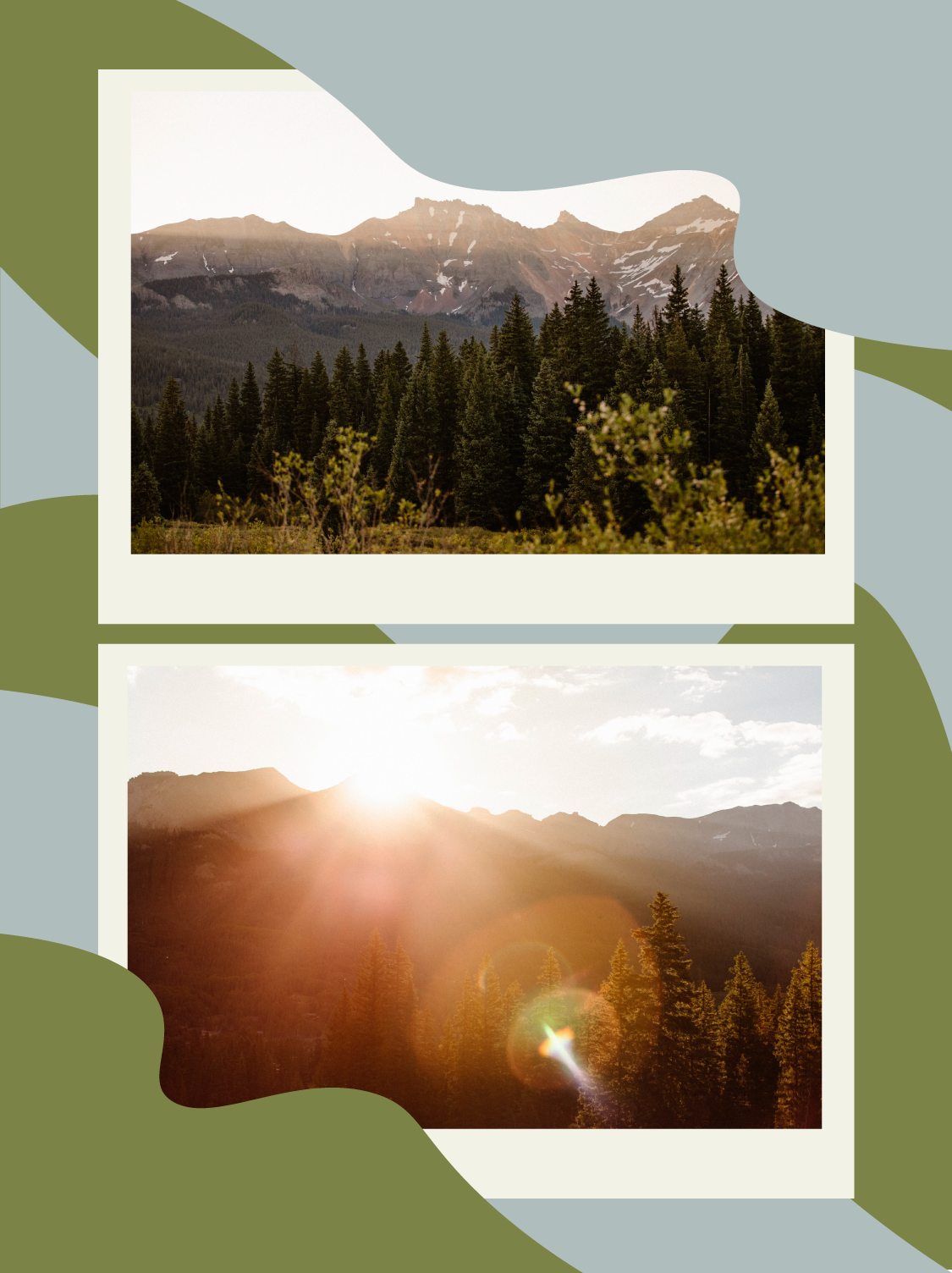 mountains during a warmly lit golden hour with trees in the foreground