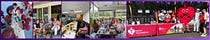 UQ at Springfield Newsletter