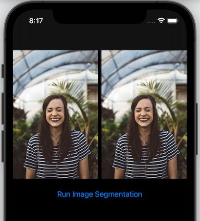SwiftUI CoreML Vision Segmentation Model