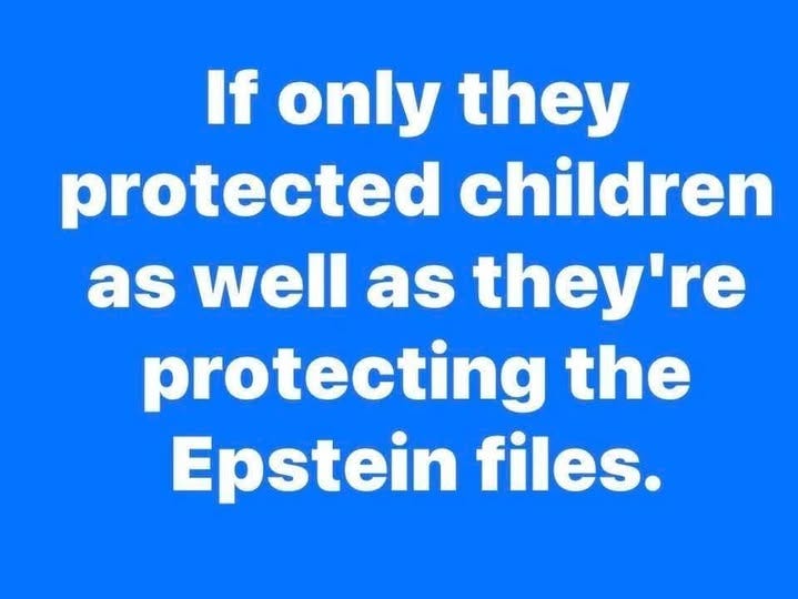 May be an image of text that says 'If only they protected children as well as they're protecting the Epstein files.'