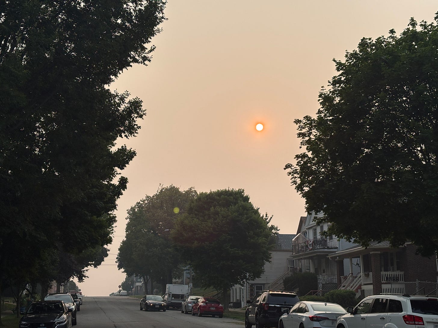 Dark green circular trees on the side of the picture with a dark orange sun shining through a complete gray sky that is filled with smoke