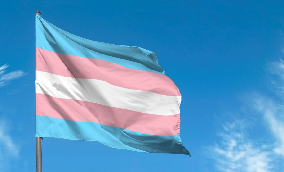 Transgender flag (Savvapanf Photo/shutterstock.com)