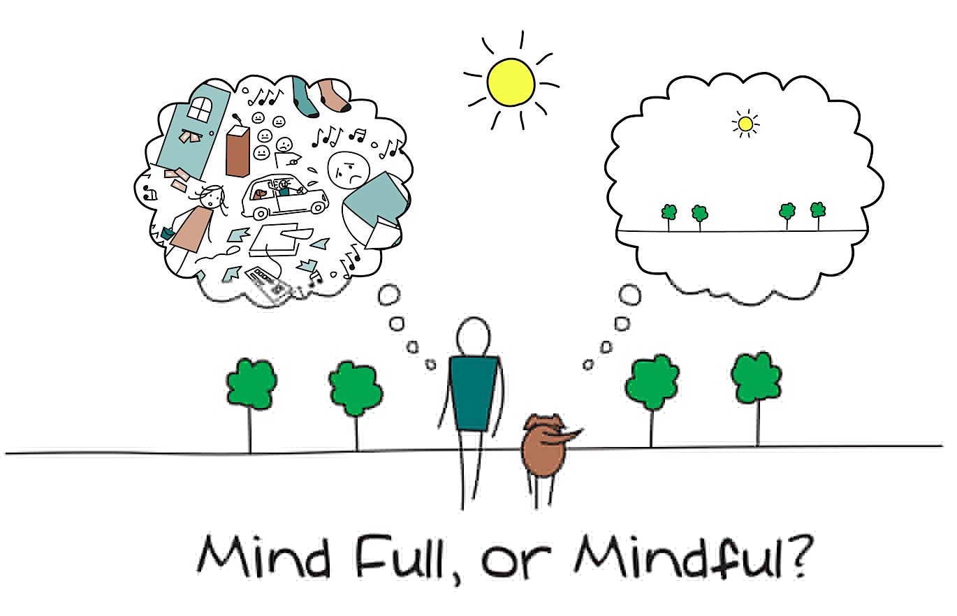 Mindfulness: what is it and how do you get started? - Prosper Health  Collective