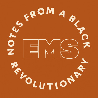 Notes from a Black Revolutionary