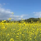 play and work away: part III