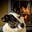 Dave Berthiaume's avatar