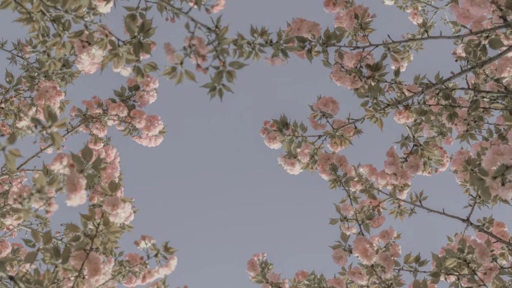 find novelty through commitment