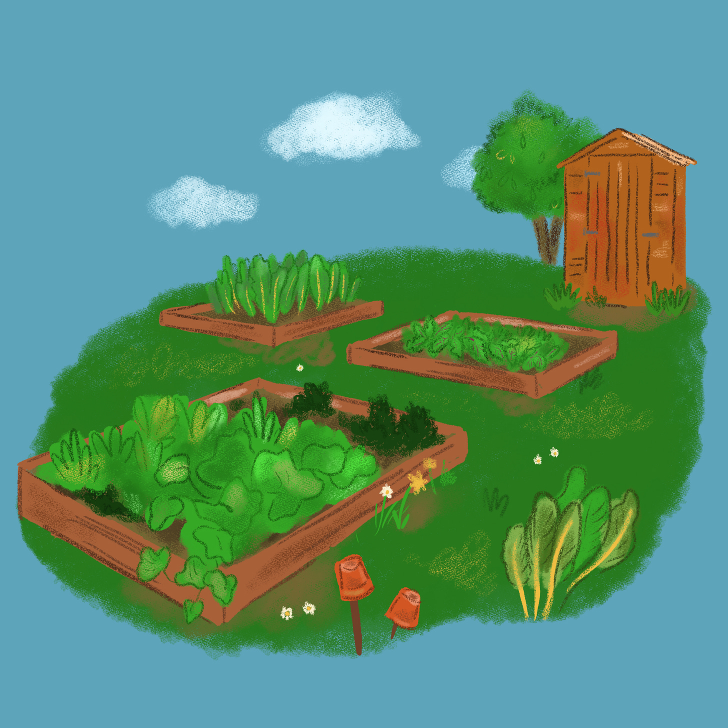 Three raised beds filled with green lush vegetables in a garden. A cute little shed is at the back of the garden next to a happy tree. Three raised beds filled with green lush vegetables in a garden. A cute little shed is at the back of the garden next to a happy tree.