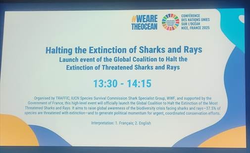 A screen with text on it

AI-generated content may be incorrect.