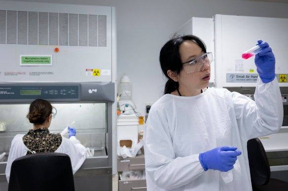 Dr Dongli Liu examines tissue grown from live endometriosis cells at the Lowy Cancer Research Centre, Sydney. Dr Dongli Liu examines tissue grown from live endometriosis cells at the Lowy Cancer Research Centre, Sydney.