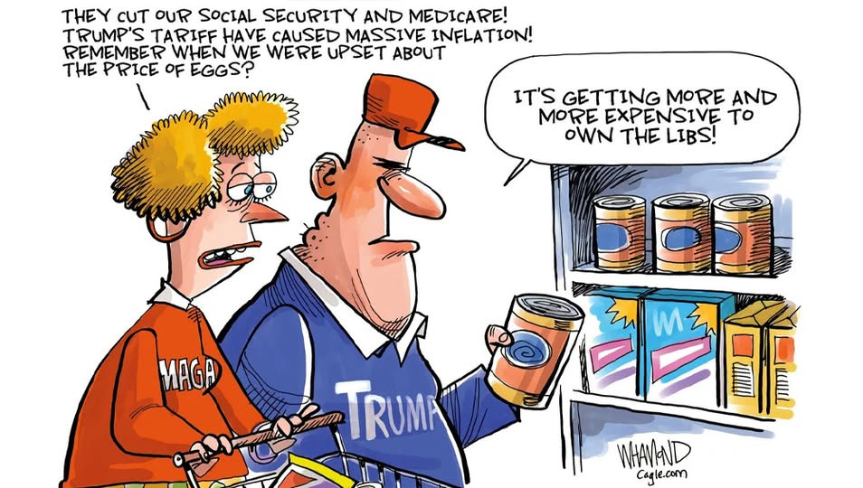 No photo description available.