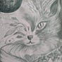 Pamula Furness's avatar