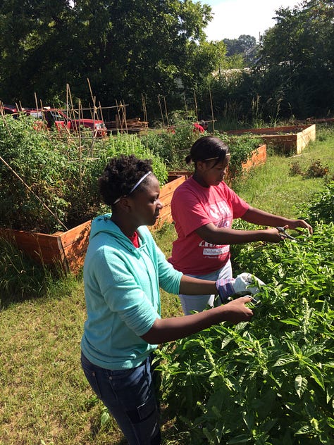 Scenes from creating the garden