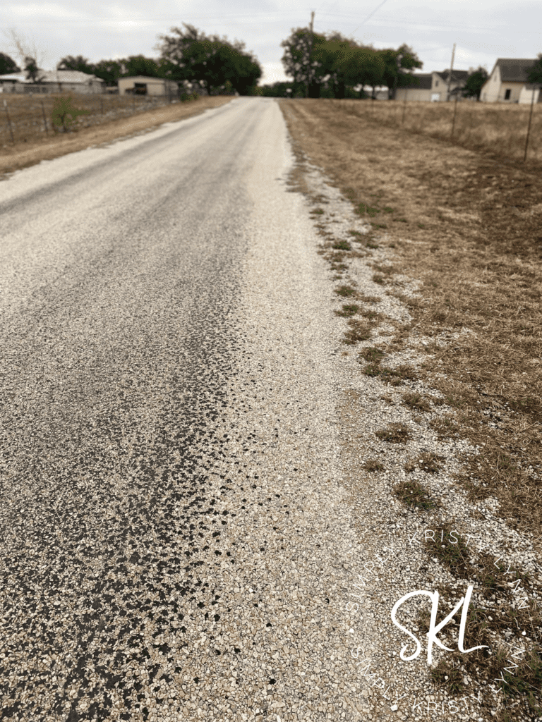 The Forward Path | photography by Kristy Lynn