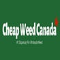 Cheap Weed Canada's avatar