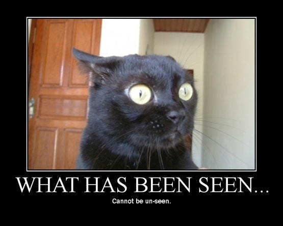 demotivational poster meme featuring a picture of a wide-eyed cat and the phrase in caption - WHAT HAS BEEN SEEN Cannot be un-seen.