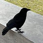 Béné's avatar