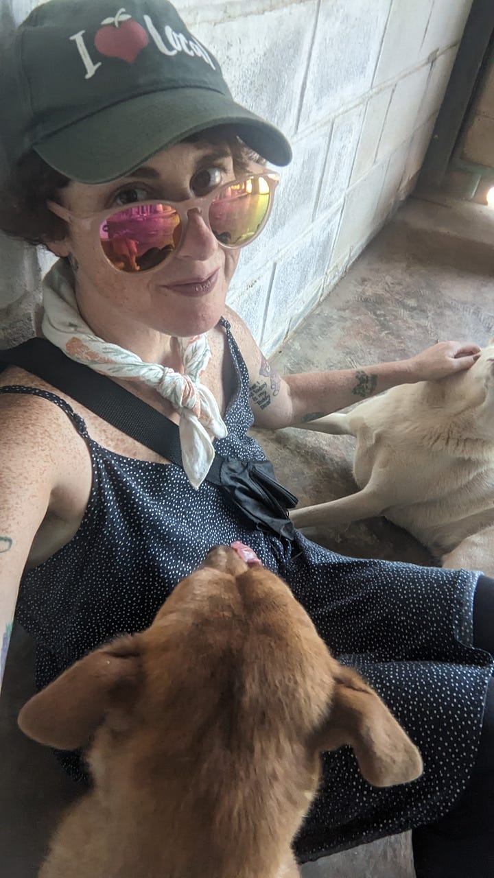 jess bonding with a white dog