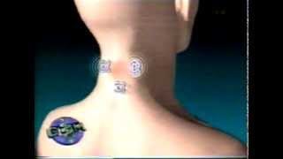 Magnetic Revolution: Why magnetism is a new frontier in medical research. Magnetic Revolution: Why magnetism is a new frontier in medical research.