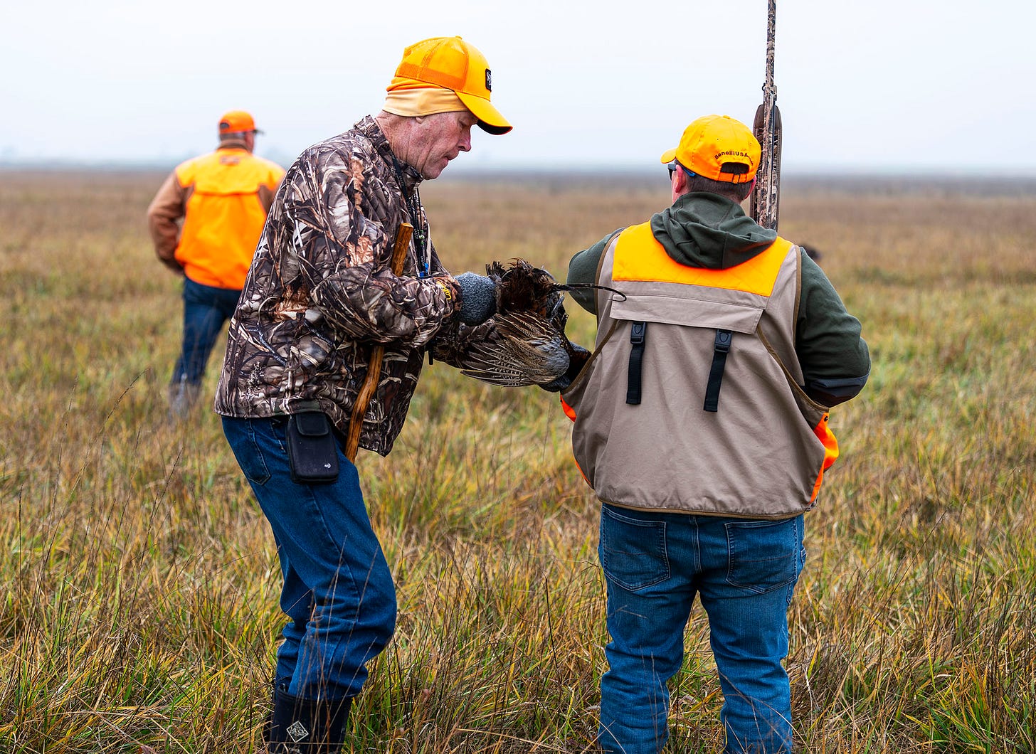 A guide puts a hunter's pheasant in her game pouch
