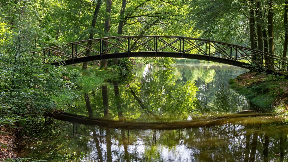 Block, Bridge, and Build: A Framework to Forge a More Democratic Future