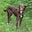 John C Horntein's avatar