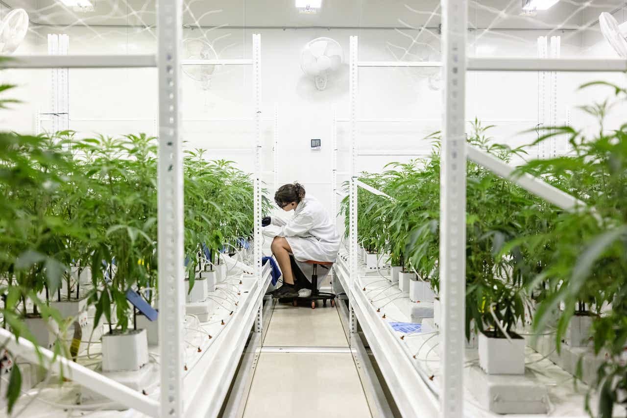 Top Cannabis Pick For 2023: NewLake Capital Yields 9% With Double-Digit Growth (NLCP) | Seeking Alpha Top Cannabis Pick For 2023: NewLake Capital Yields 9% With Double-Digit Growth (NLCP) | Seeking Alpha