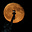 Booh's avatar